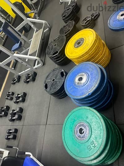 Olympic Plates + Dumbells + stand