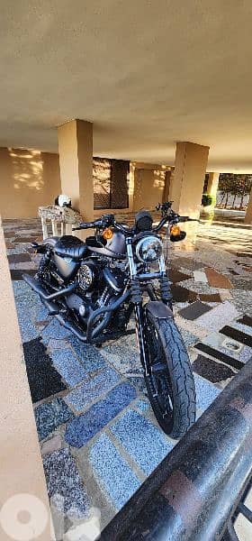 Iron 883 Harley Davidson 2