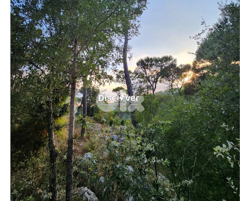 1,840sqm | Land for sale in Chalimar ( Shalimar ) - Baabdat 0