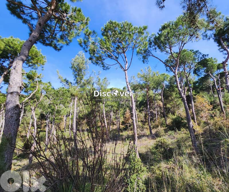 1,890sqm | Land for sale in Chalimar ( Shalimar ) - Baabdat 0