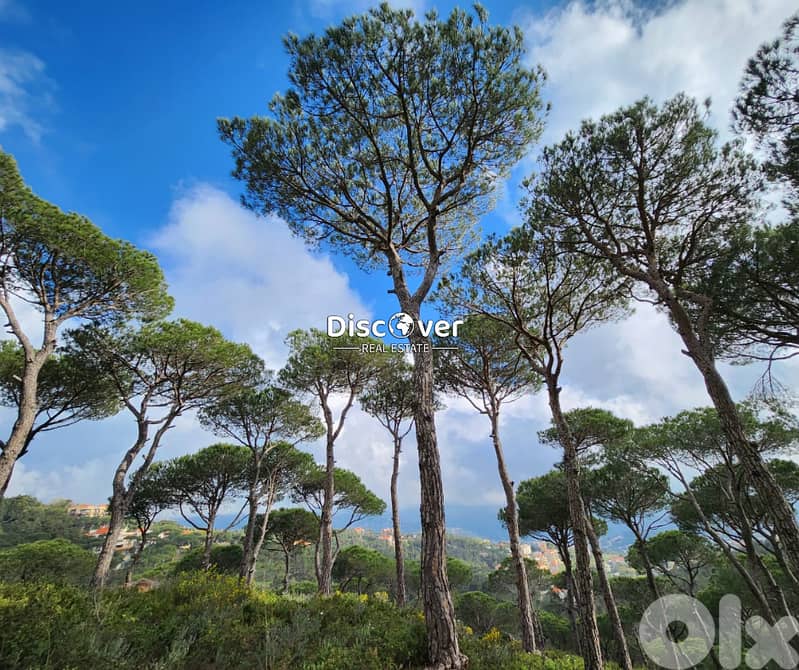 Stunning land for sale in Dahr el sawan | shalimar 0