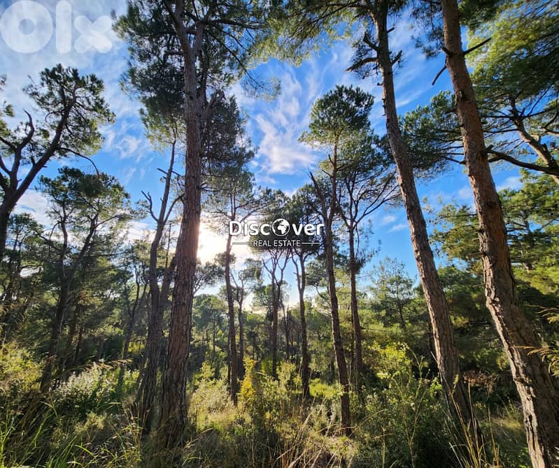 2,015sqm | Land for sale in Chalimar ( Shalimar ) - Baabdat 0