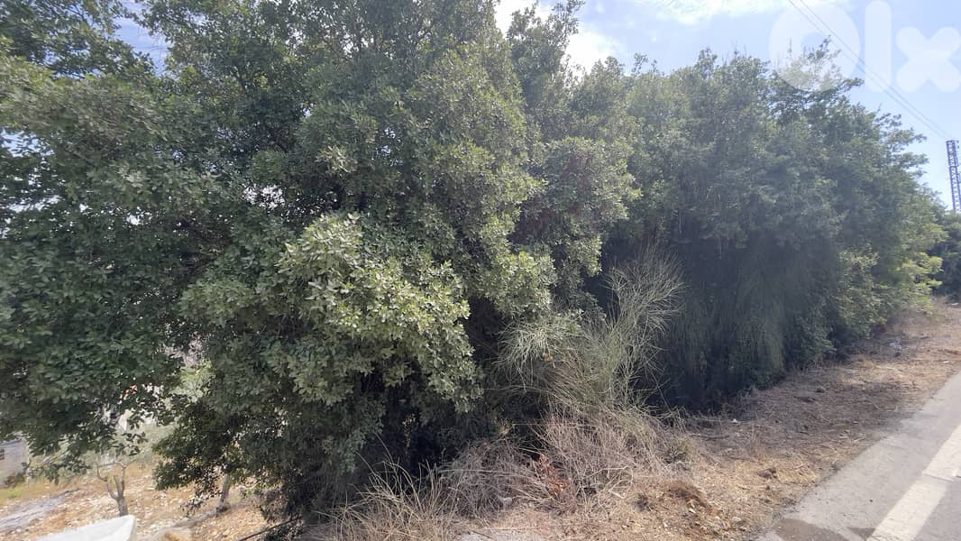 RWB168CA - Land for sale in Jbeil Maad 5