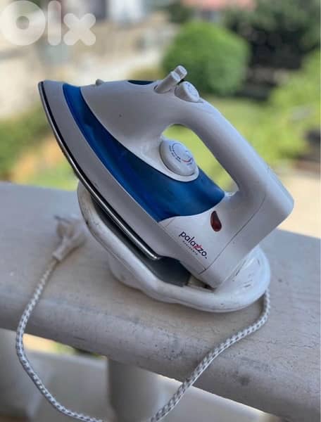 Palazzo Cloth Steamer 1