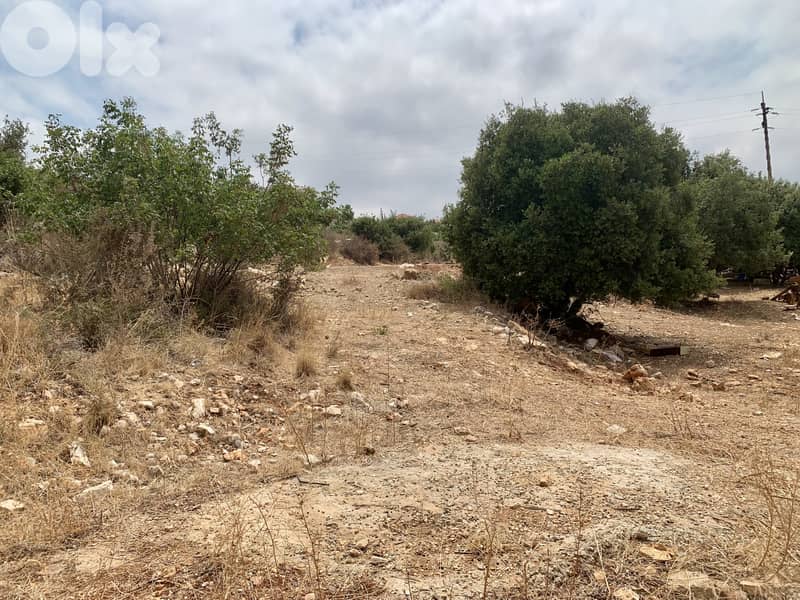 RWB138NK - Land for sale in Amchit Jbeil ( Bnaqra ) 1