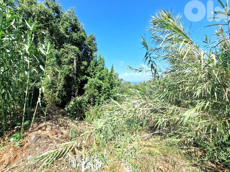 L15370 - 1,486 sqm Land for Sale In Aidamoun Gherfine 0