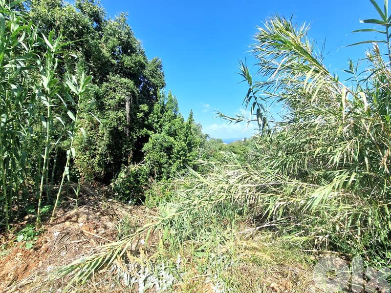 L15371 - 1,719 sqm Land for Sale In Aidamoun Gherfine 0