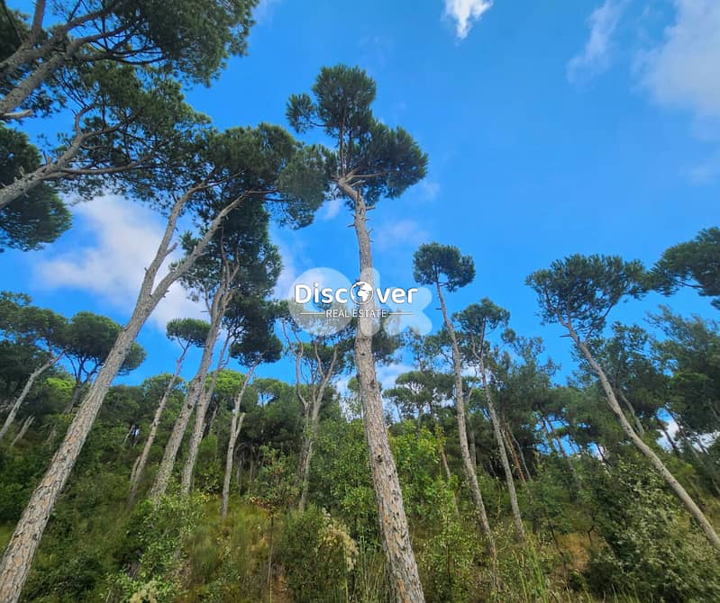 Rare land for sale in Baabdat - Shalimar ( chalimar ) 0