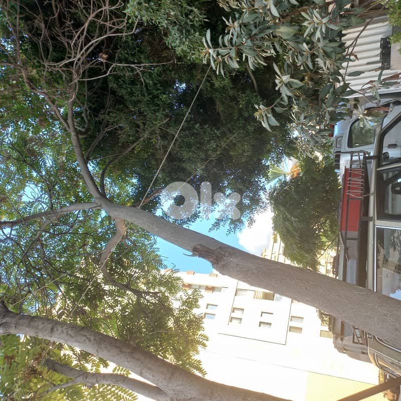 Land in Antelias near the bridge for sale 0