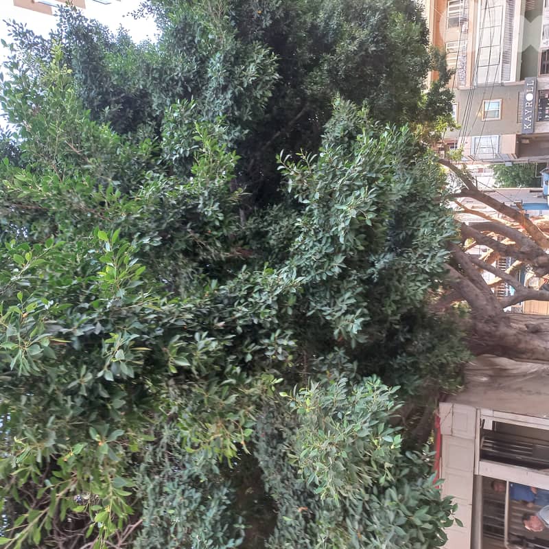 Land in Antelias near the bridge for sale 1