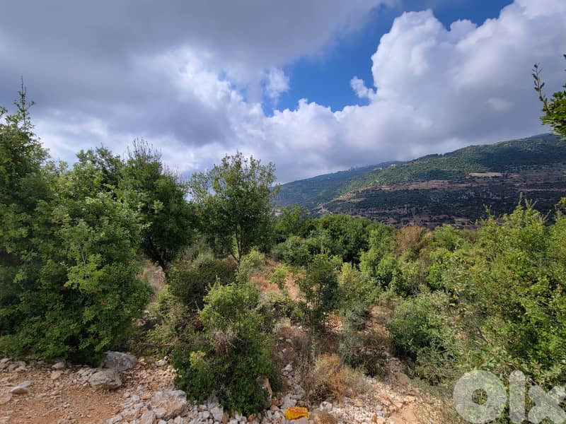 RWB168EG - Land for sale in Jbeil Hsoun 1