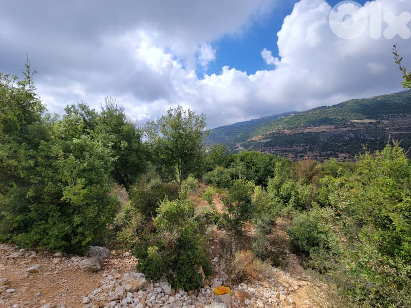 RWB168EG - Land for sale in Jbeil Hsoun 2