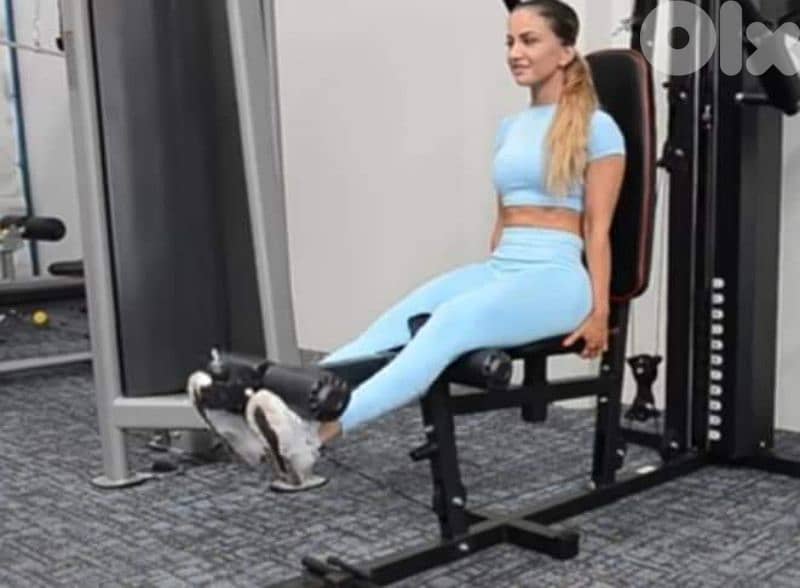 Home Gym starting 250 dollar New & Used 03027072 GEO SPORT 4