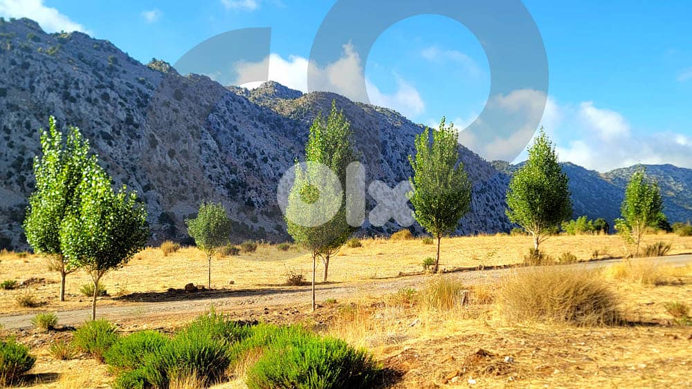 ROAD ACCESS, UNDER MARKET PRICE, LAKLOUK/اللقلوق REF#JE112929 2