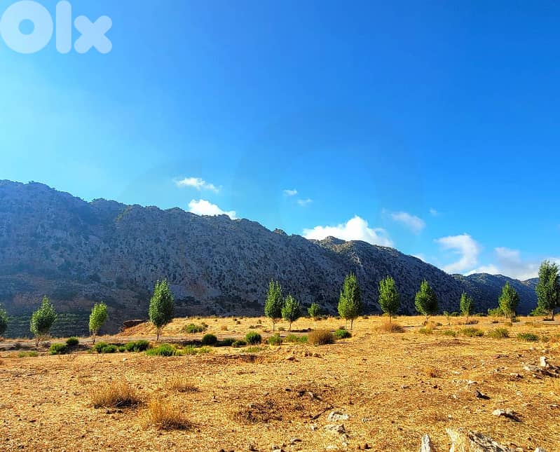 2 PLOTS | 1950 SQM | FLAT LAND | JBEIL, LAQLOUQ/اللقلوق REF#JE112930 2