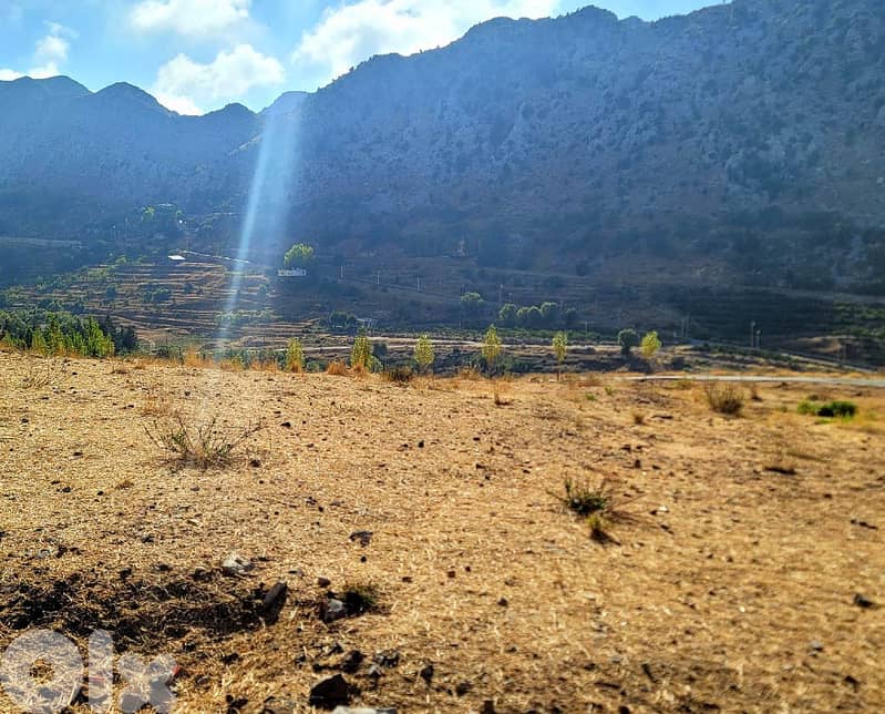 2 PLOTS | 1950 SQM | FLAT LAND | JBEIL, LAQLOUQ/اللقلوق REF#JE112930 3