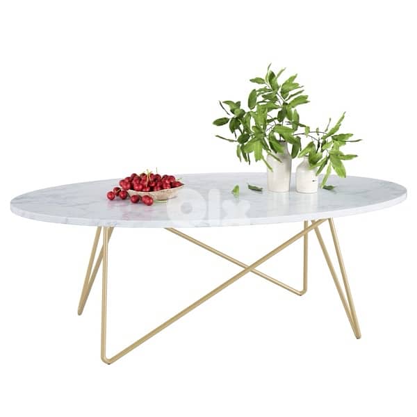 marble and gold coffee table limited edition 3