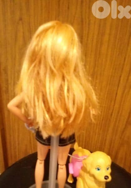 "Barbie SPLISH PUP" as new doll Mattel 2017 flex legs +Dog, both=35$ 9