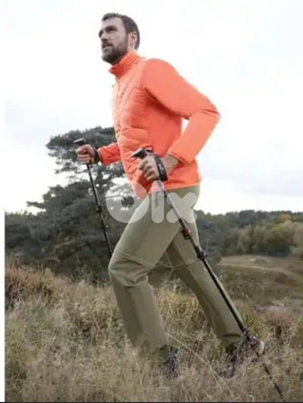 rocktrail hiking /trekking poles 1