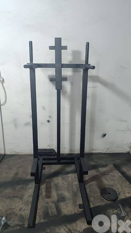 Dips and leg raises only for 150 dollar 03027072 GEO SPORT EQUIPMENT 1
