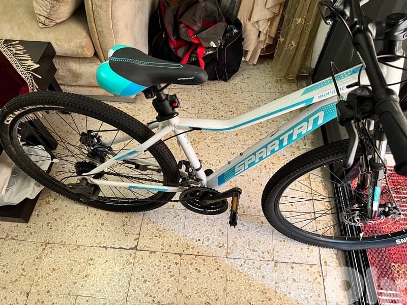 SPARTAN American bicycle 2