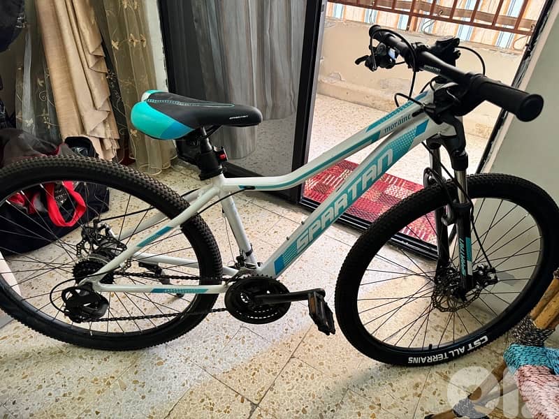 SPARTAN American bicycle 3