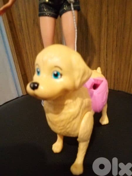 "Barbie SPLISH PUP" as new doll Mattel 2017 flex legs +Dog, both=35$ 11