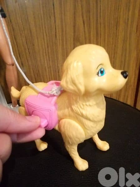 "Barbie SPLISH PUP" as new doll Mattel 2017 flex legs +Dog, both=35$ 1