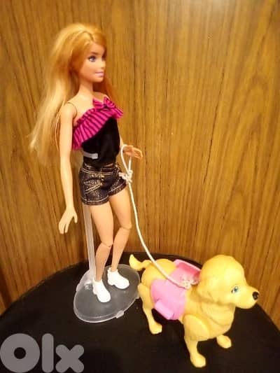 "Barbie SPLISH PUP" as new doll Mattel 2017 flex legs +Dog, both=35$