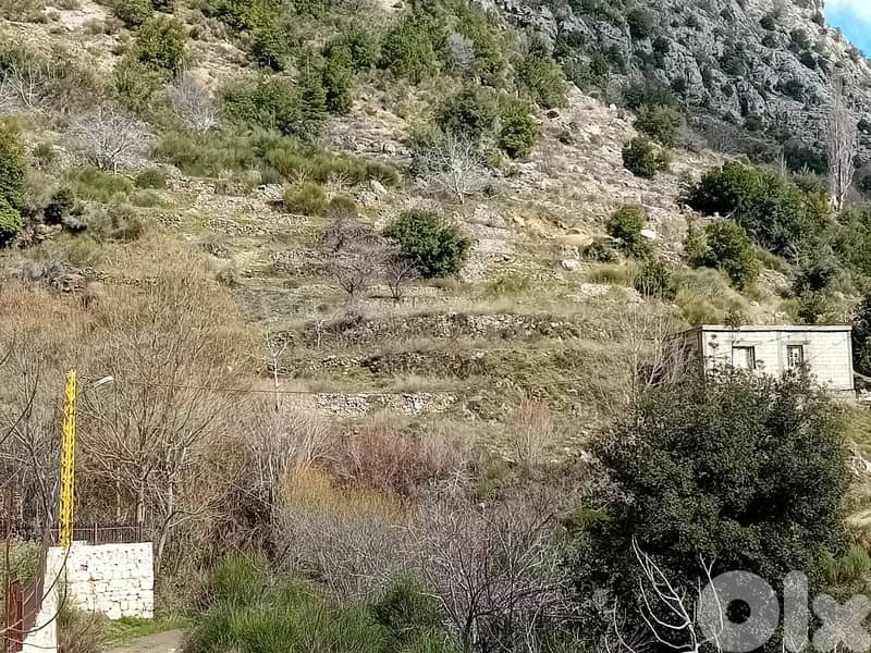 RWB112PK - Land for sale in Tannourine Batroun 2