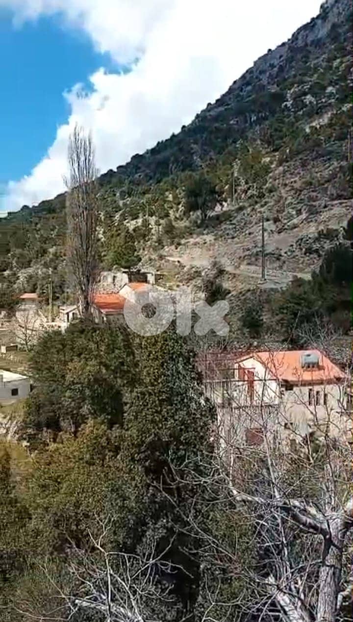 RWB112PK - Land for sale in Tannourine Batroun 5