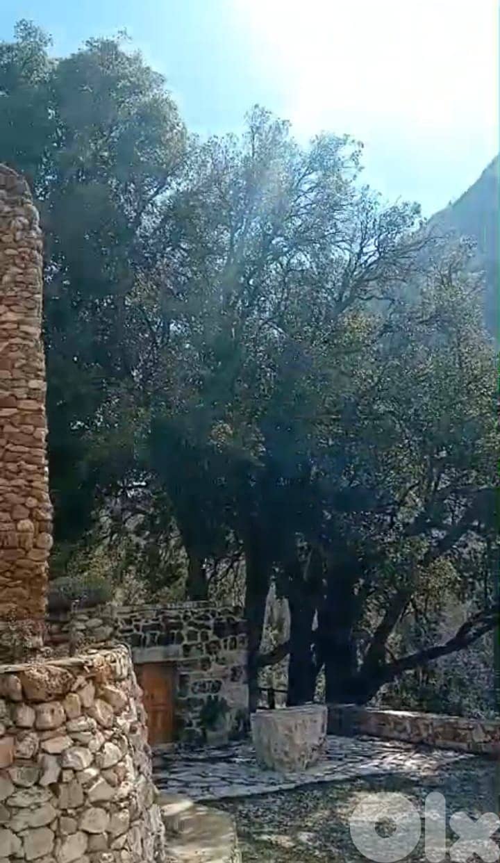 RWB112PK - Land for sale in Tannourine Batroun 8