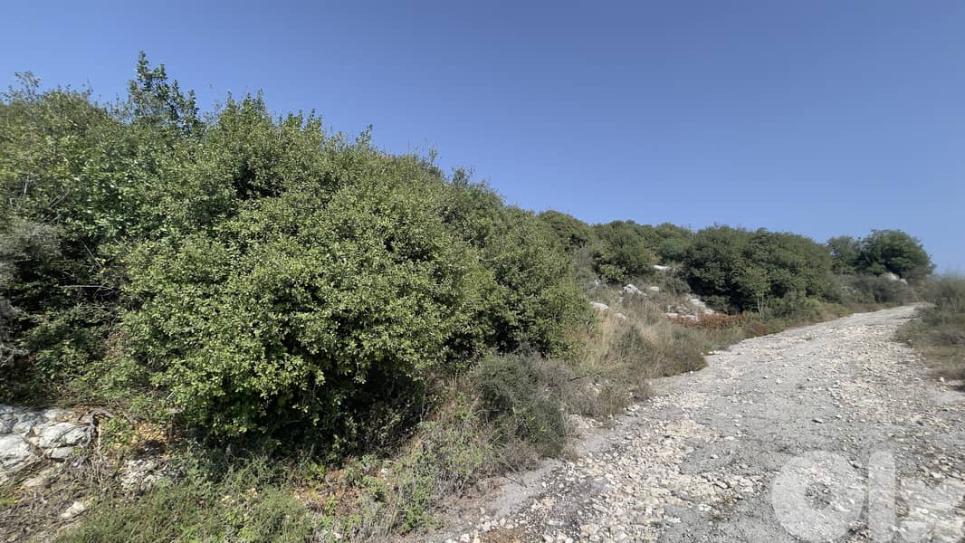 RWB179CA - Land for sale in Gharzouz Jbeil 0