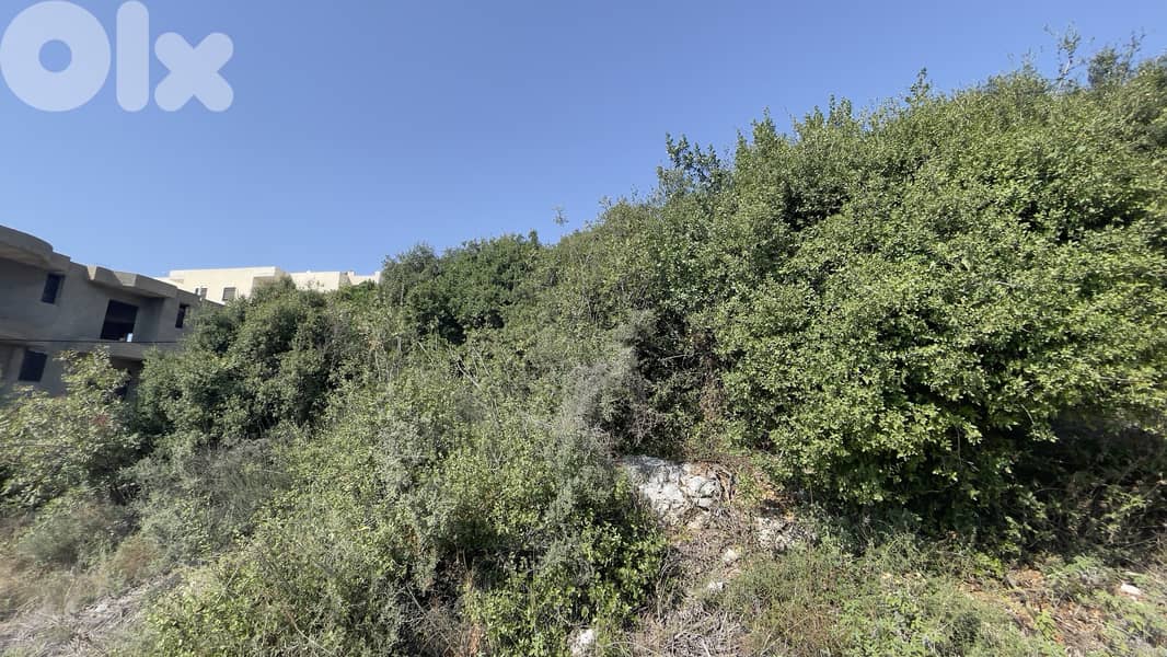 RWB179CA - Land for sale in Gharzouz Jbeil 1