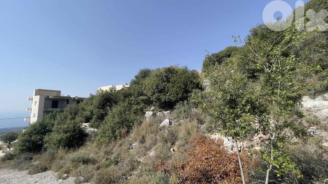 RWB179CA - Land for sale in Gharzouz Jbeil 4
