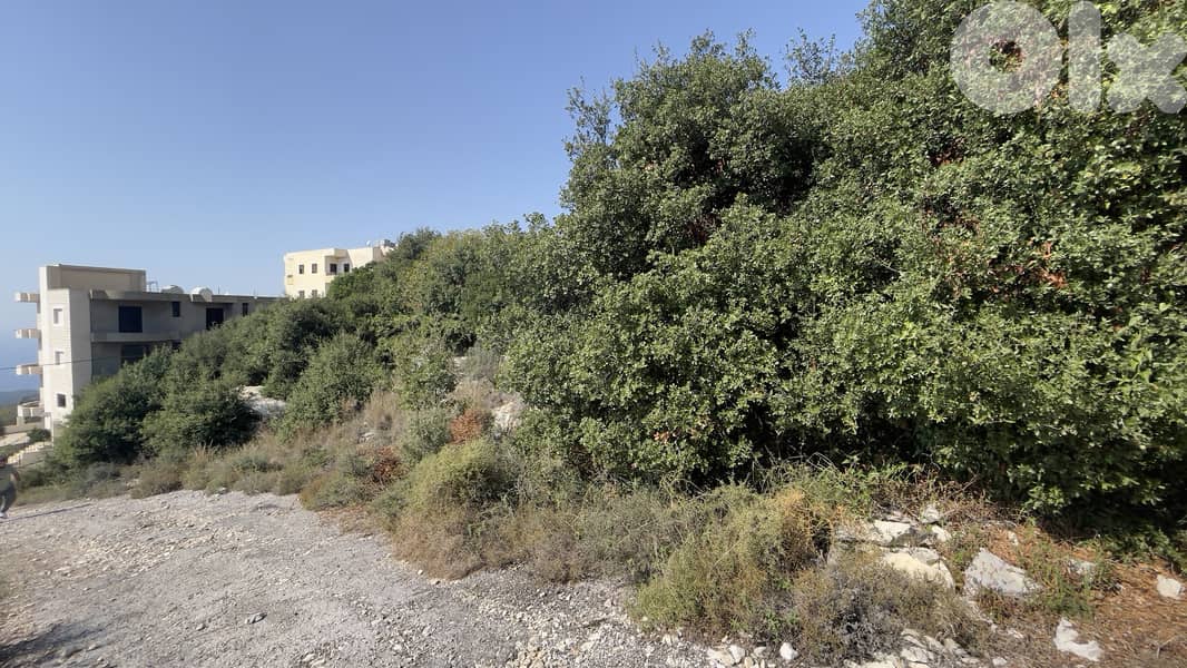 RWB179CA - Land for sale in Gharzouz Jbeil 7