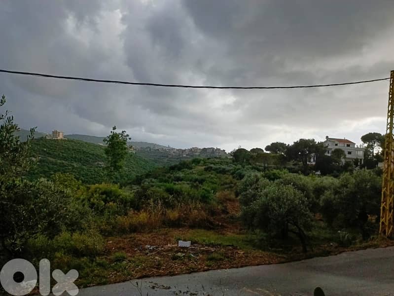 Land for sale in Al koura ارض للبيع في الكورة 0