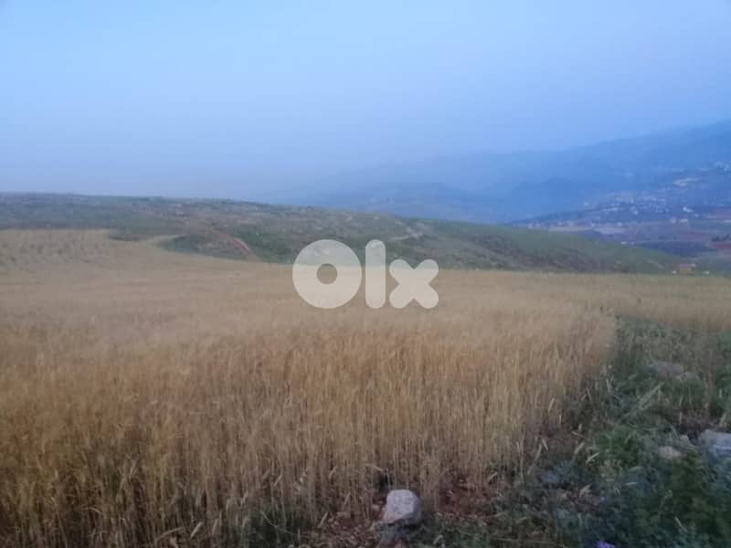 2125 SQM Land in Terbol, North Overlooking the Mountains 1