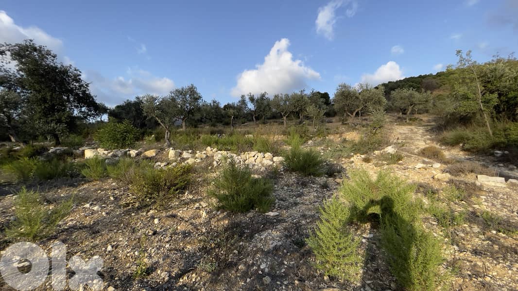 RWB185CA - Land for sale in Ain Kfaa Jbeil 0