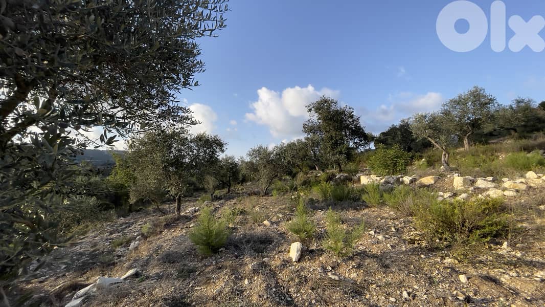 RWB185CA - Land for sale in Ain Kfaa Jbeil 1