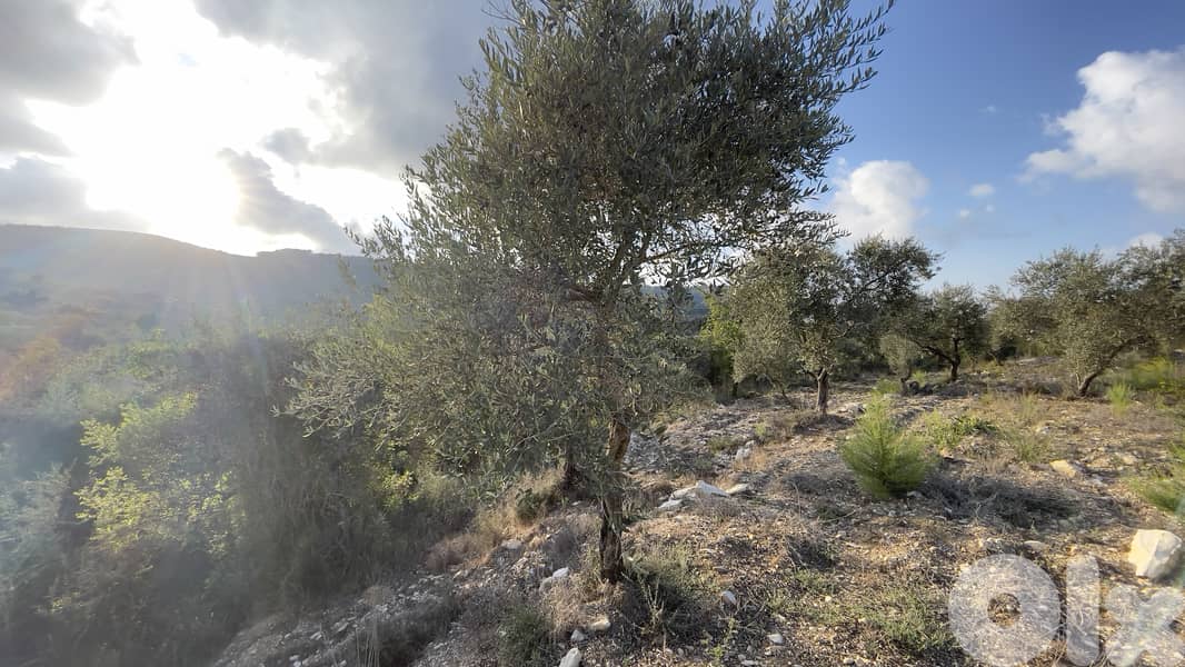 RWB185CA - Land for sale in Ain Kfaa Jbeil 2
