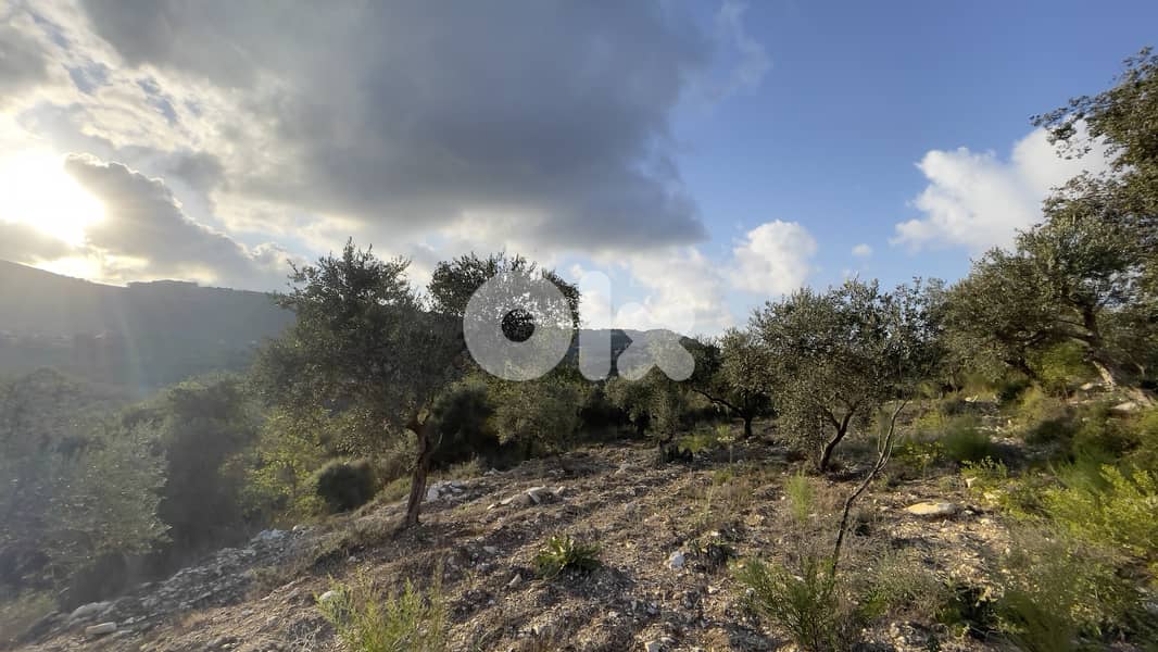 RWB185CA - Land for sale in Ain Kfaa Jbeil 3