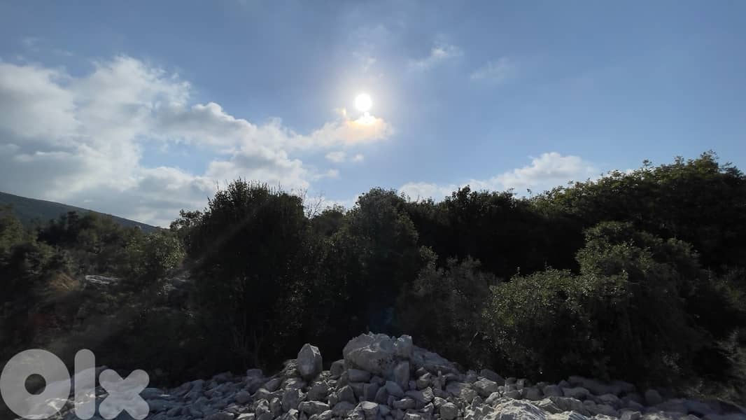 RWB184CA - Private Land for sale in Aabeidat Jbeil 3