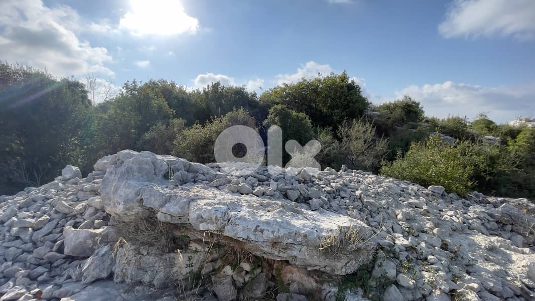 RWB184CA - Private Land for sale in Aabeidat Jbeil 5