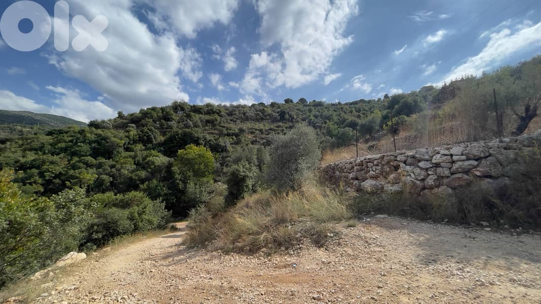RWB189CA - Land for sale in Aabeidat Jbeil 0