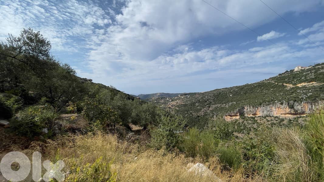 RWB190CA - Private land for sale in Aabeidat Jbeil 0
