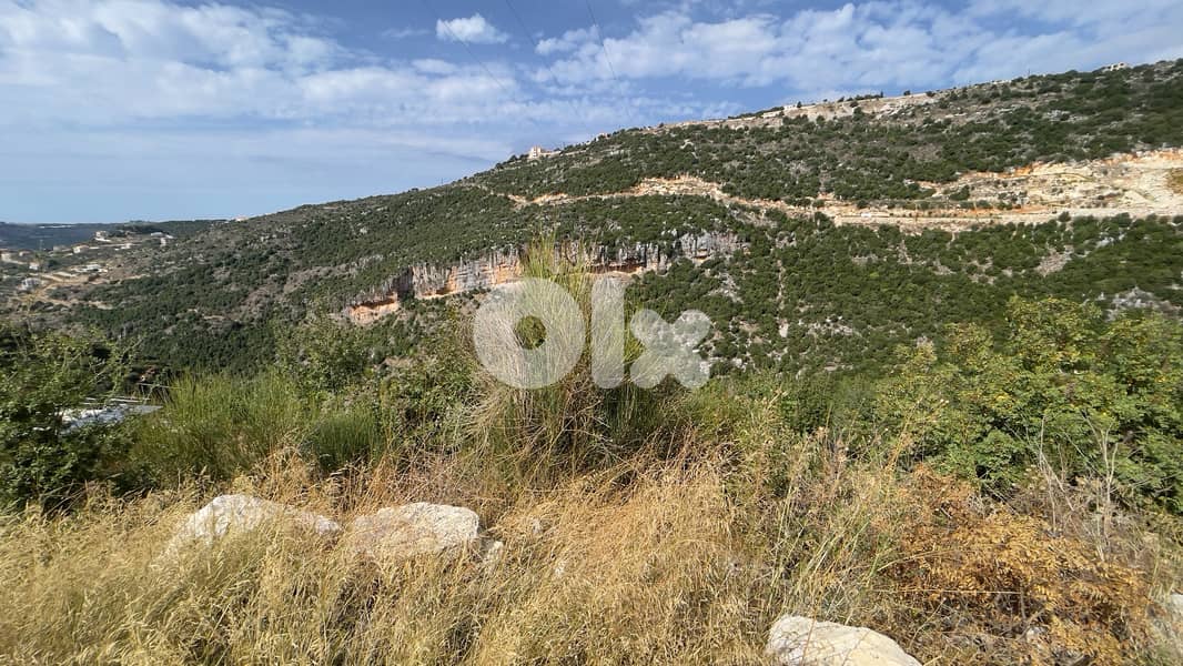 RWB190CA - Private land for sale in Aabeidat Jbeil 1