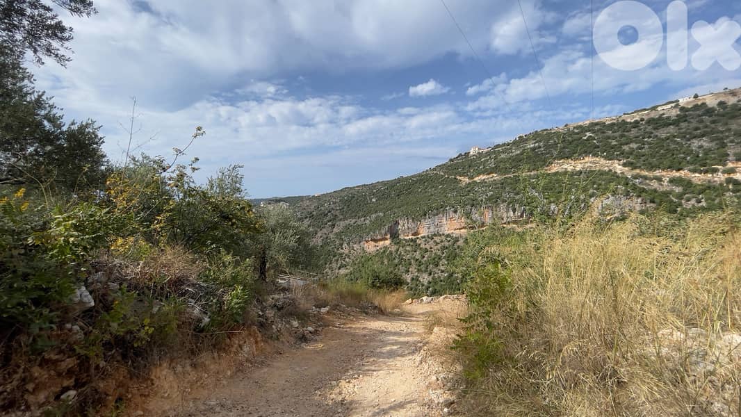 RWB190CA - Private land for sale in Aabeidat Jbeil 4
