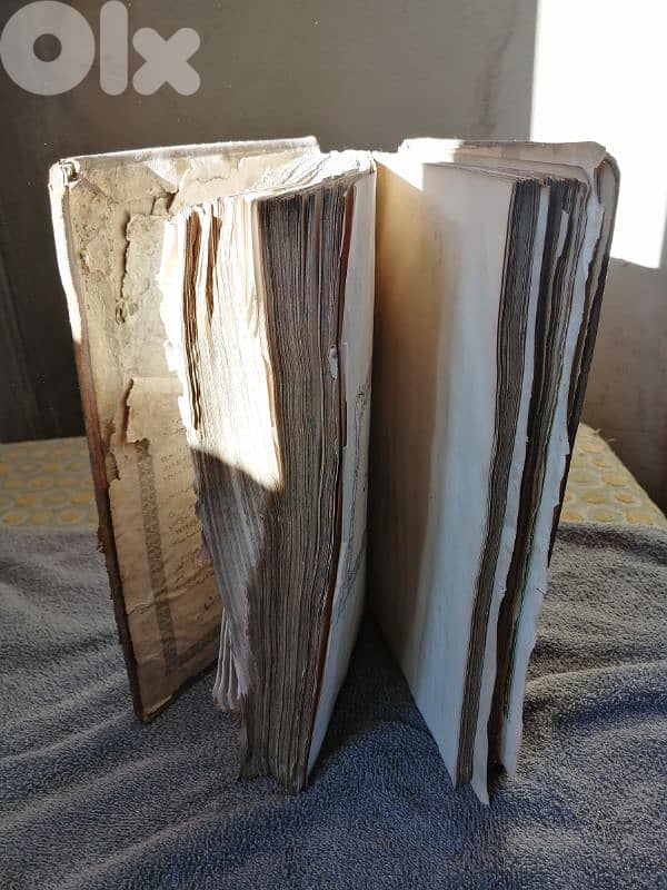 Vincentius Bracco 1878 bible 1