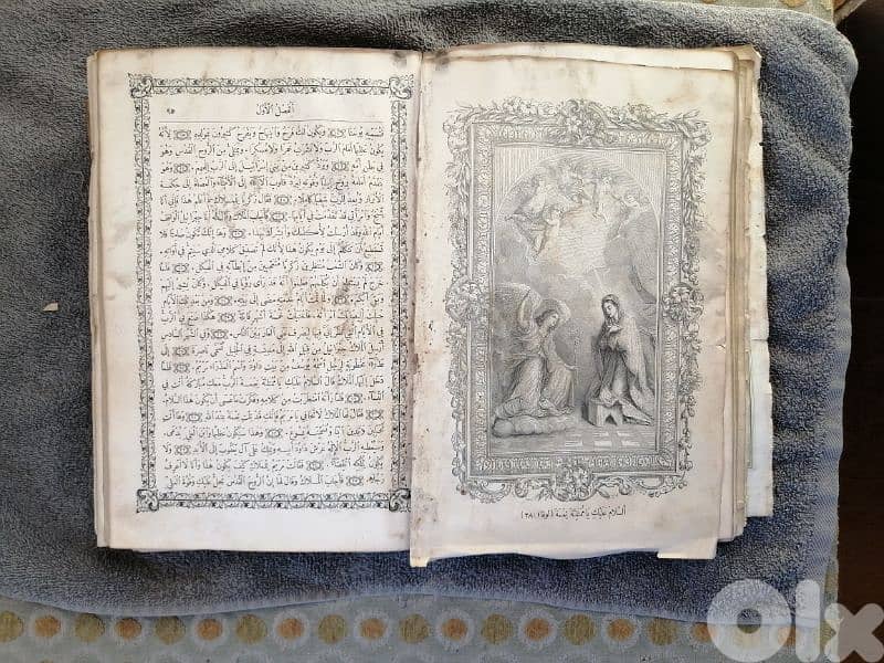 Vincentius Bracco 1878 bible 2